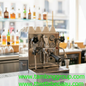 Máy pha cà phê Expobar Leva E61
